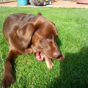 Meet your Posher, Matthew